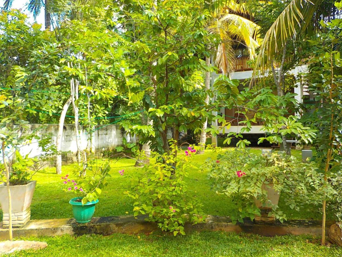Liyana Holiday Resort Anuradhapura Eksteriør billede